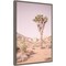 Joshua Tree III Blush by Elizabeth Urquhart Canvas Wall Art Print Framed